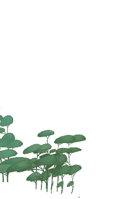 Green Plants - growth - Transparent Background PNG