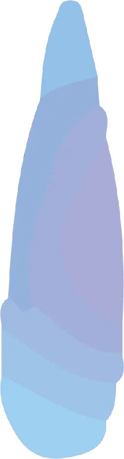 Shell - nature - textured - High Resolution PNG