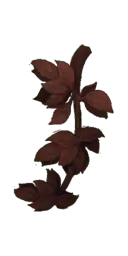 Autumn Leaves Branch - brown - No Watermark PNG
