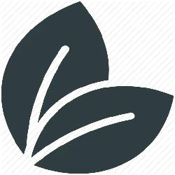 Clover - environmental protection - Free Download PNG