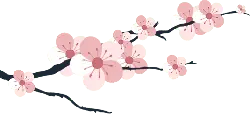 Cherry Blossom Branch - branch - Trending PNG