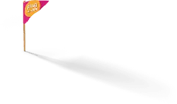 Pink Flag - plastic - Transparent Background PNG