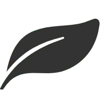 Leaf - Free Download PNG - Curated PNG