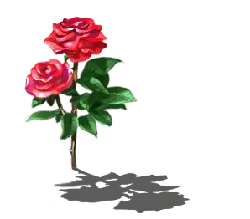 Red Rose - plant - green leaves - No Watermark PNG