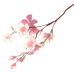 Cherry Blossom - Fast Download PNG - Highly Rated PNG