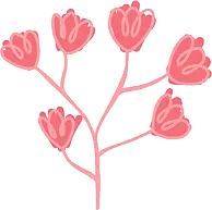 Pink Flowering Branch - Curated PNG