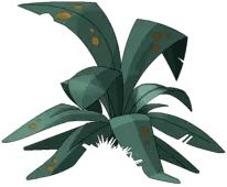 Unidentified Plant - nature - High Resolution PNG