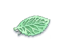 Leaf Icon - icon - Transparent Layer PNG