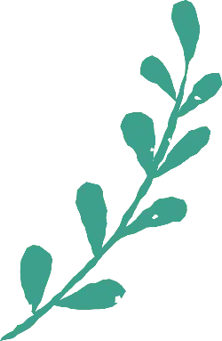 Green Branch - No Background PNG