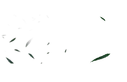 Green Leaves - green - leaves - Transparent Background PNG