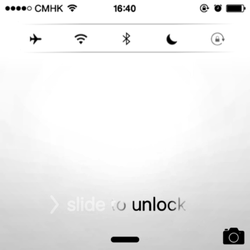 Free PNG - bird - Black Owl - Pic 3