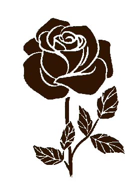 Rose - pink - love - No Background PNG