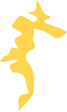 Yellow Abstract Pattern - color - High Resolution PNG