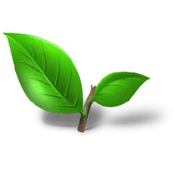 Green Leaves - Designer Recommended PNG - growth