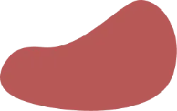 Red Irregular Shape - Lossless PNG