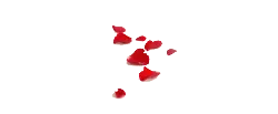 Red Rose Petals - Free for Commercial Use PNG