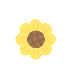 Sunflower - Designer's Pick PNG - sunlight
