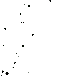 Black Owl - bird - Free Download PNG - Pic 6