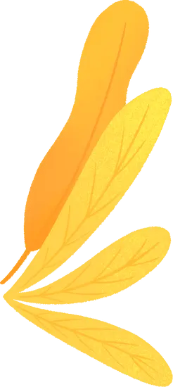 Autumn Leaves - yellow - falling leaves - PNG