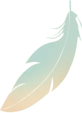 Feather - artistic - natural - High Resolution PNG