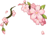Cherry Blossom - Free Download PNG - Designer's Pick PNG