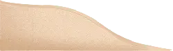 Champagne Gradient Background - gradient color - Transparent Background PNG