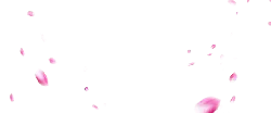 Pink Petals Falling - Transparent Layer PNG - decoration
