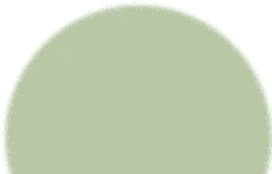Green Circle Object - object - Transparent Background PNG