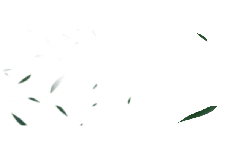 Green Leaves - peaceful - leaves - Lossless PNG