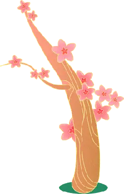 Cherry Blossom Tree - High Quality PNG - Transparent Background PNG