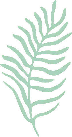 Fern Leaf - decorative - Free Download PNG