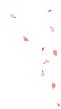 Pink Petals Falling - Recommended PNG - Free for Commercial Use PNG