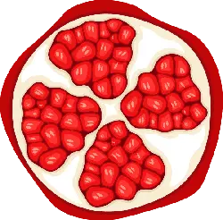Pomegranate - Designer Recommended PNG - sweet