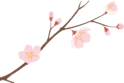 Cherry Blossom Branch - flower - branch - Free PNG