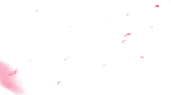 Pink Petals Falling - romantic - Fast Download PNG