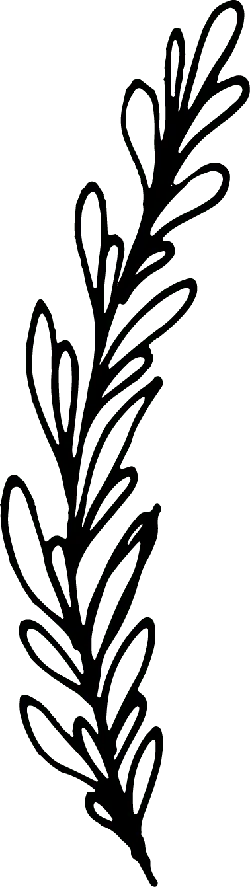 Black Owl - PNG - owl - Pic 5