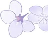 Purple Lilac Flower - nature - High Resolution PNG