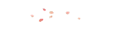 Petals - Designer Recommended PNG