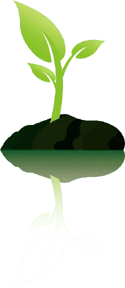 Green Plant Seedling - ecology - Lossless PNG
