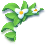 Clover - leaves - flowers - PNG