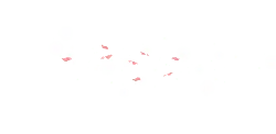 Pink Butterflies - flying - Free PNG