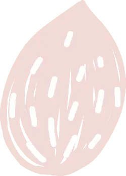 Almond - yummy - nut - Lossless PNG