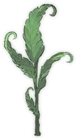 Curly Fern Leaf - green - High Resolution PNG
