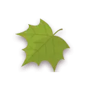 Maple Leaf - green - Lossless PNG