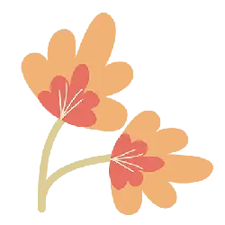 Two Flowers - simple - line - Free Download PNG