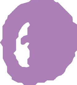 Purple Irregular Shape - No Background PNG