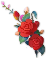 Rose - nature - flowers - High Resolution PNG