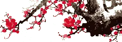 Plum Blossom - PNG - plant