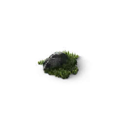Rock and Vegetation - natural landscape - No Background PNG