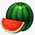 Watermelon - Designer's Pick PNG - Curated PNG
